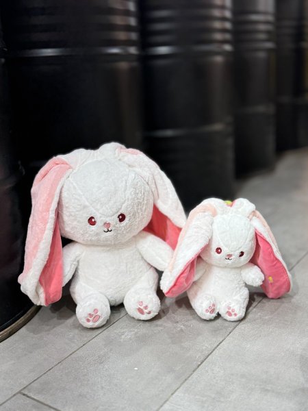 أرنب فراولة