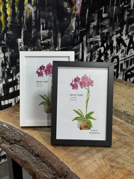 براويز سمبل