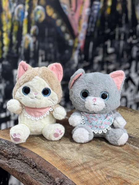 دب قطة تويز عيون لمعة